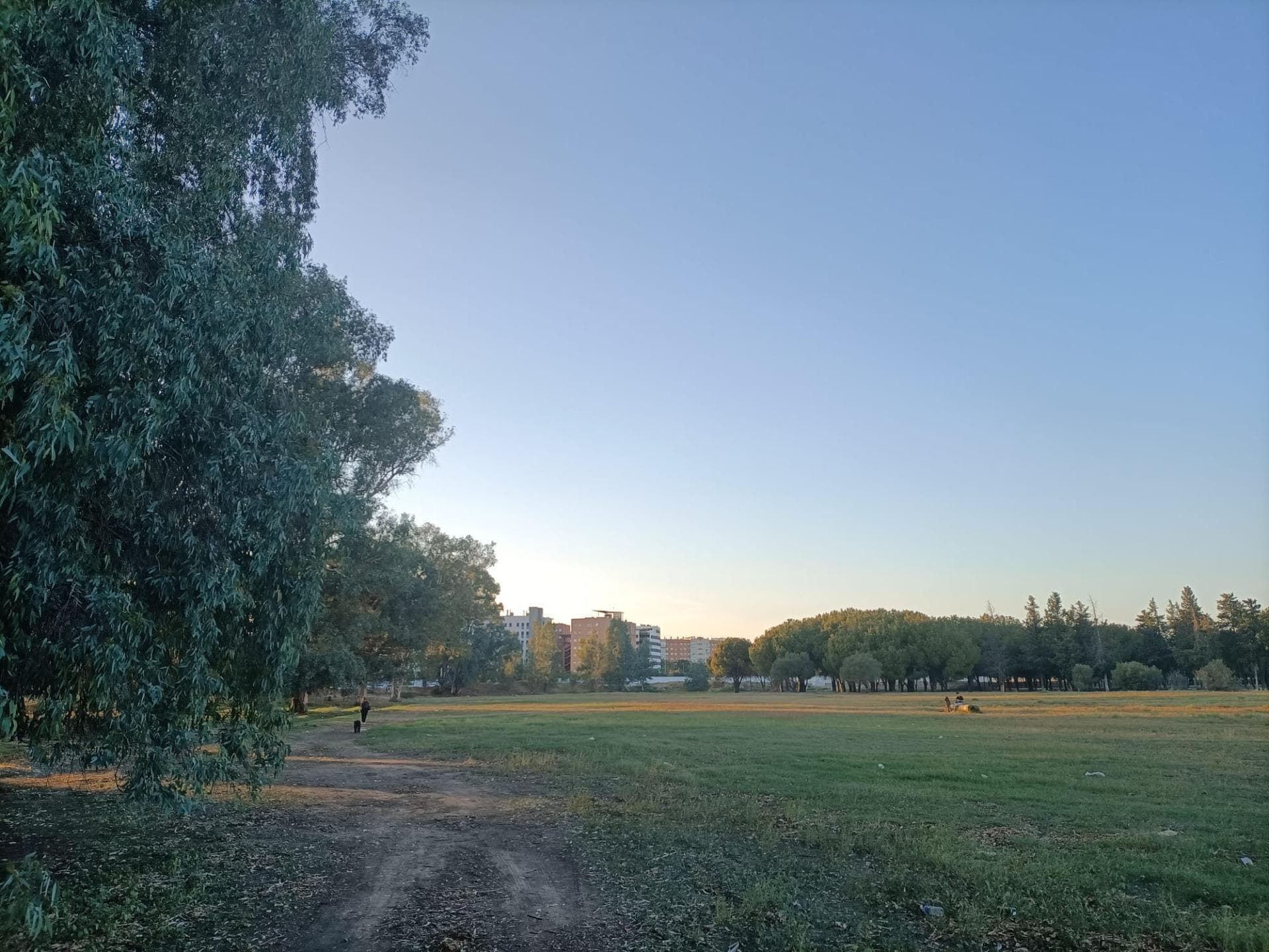 Terreno en SEVILLA, Sevilla en venta Vista aérea- Imagen 1 de 9