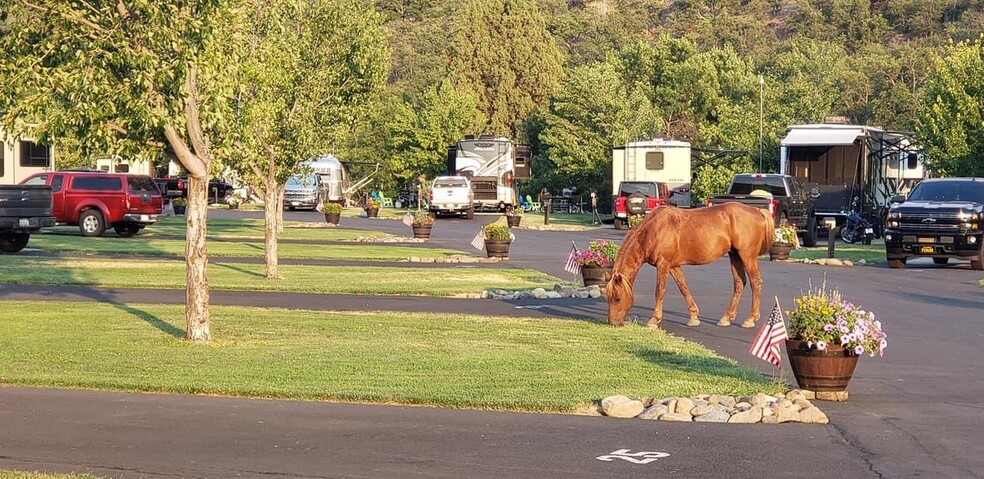 7630 Copco Rd, Hornbrook, CA en venta - Foto del edificio - Imagen 3 de 13