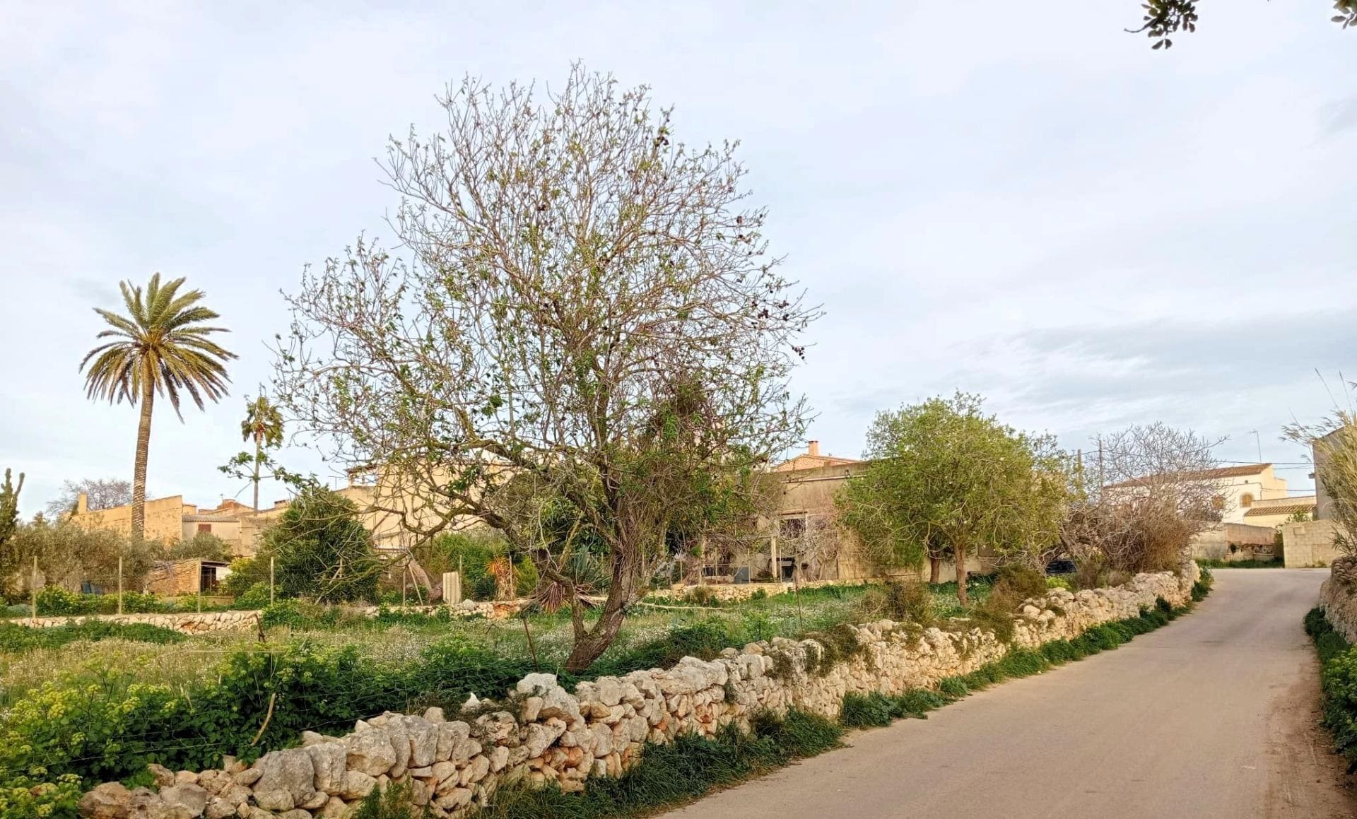 Terreno en Santanyí, Islas Baleares en venta Foto del edificio- Imagen 1 de 13