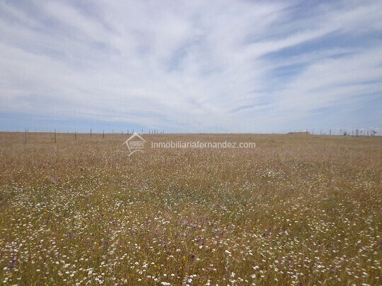 Terreno en Sierra de Fuentes en venta - Vista aérea - Imagen 1 de 2