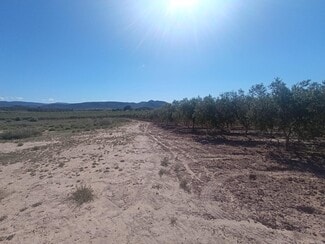 Más detalles de Partida los Cabezos, 16, Villena - Terreno en venta