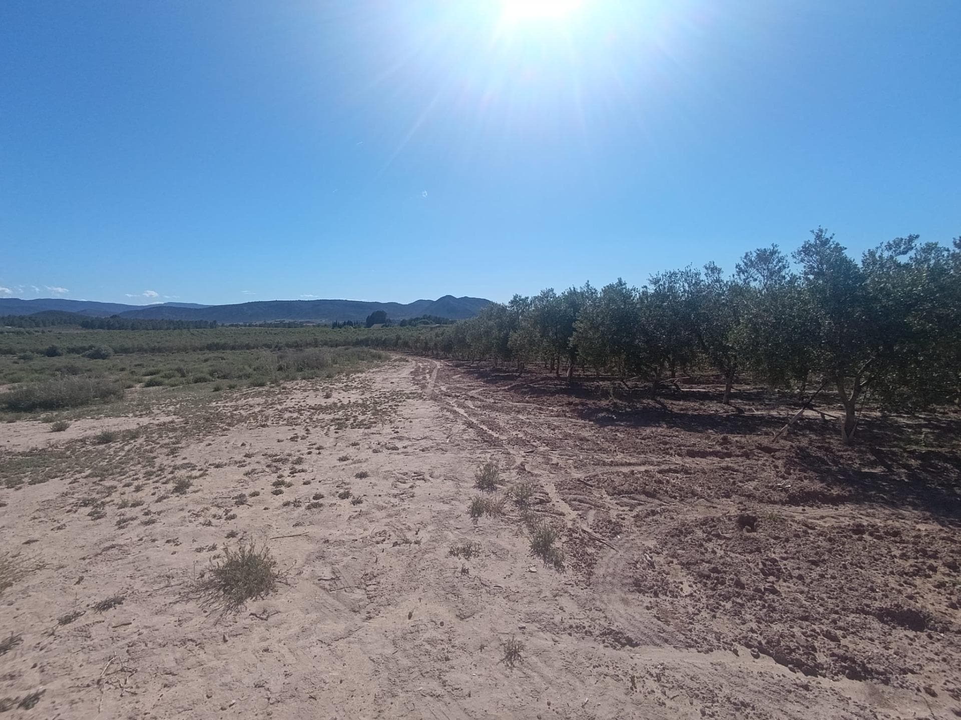 Partida los Cabezos, 16, Villena, Alicante en venta Foto principal- Imagen 1 de 5
