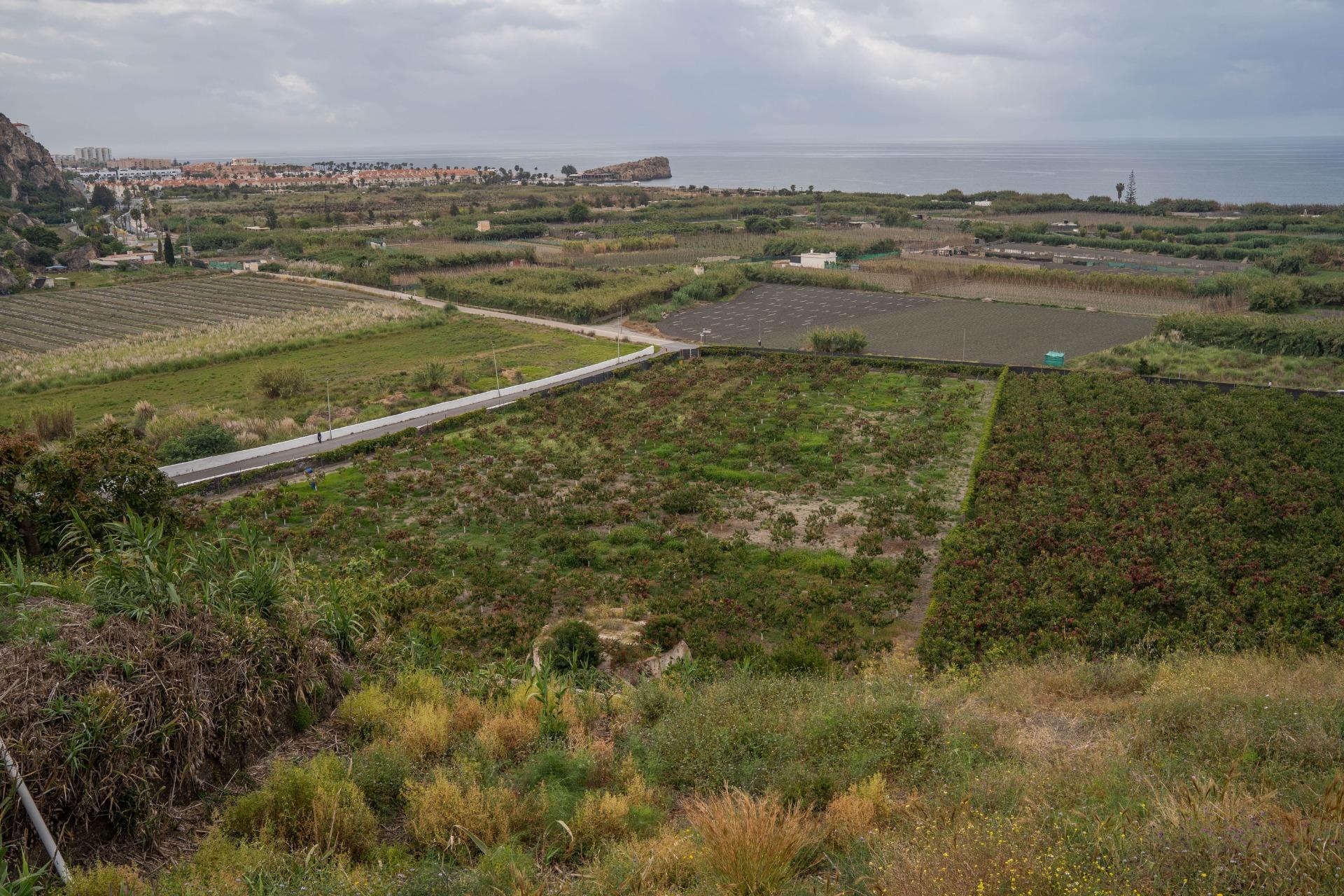 Carretera Málaga, 74, Salobreña, Granada en venta Foto principal- Imagen 1 de 51