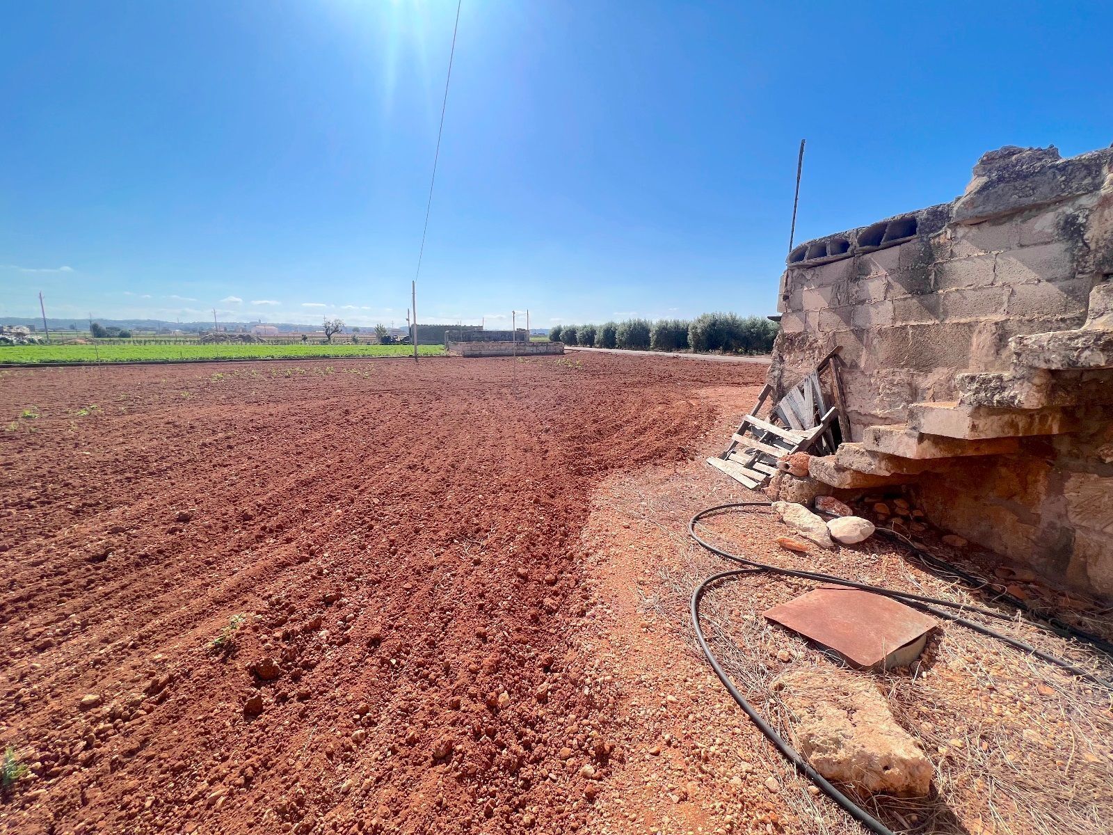 Terreno en Sa Pobla en venta Foto del edificio- Imagen 1 de 14