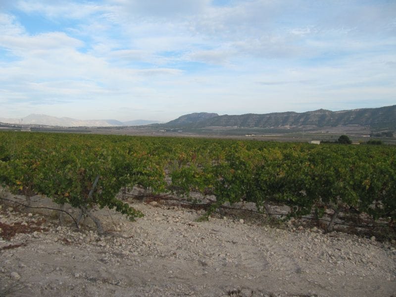 Terreno en Salinas, Alicante en venta Vista aérea- Imagen 1 de 2