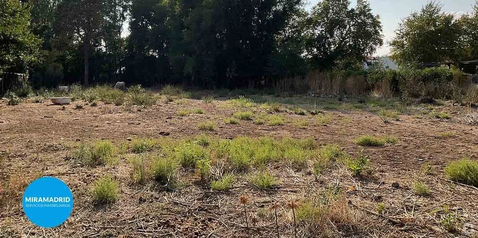 Terreno en Ajalvir, Madrid en venta - Otros - Imagen 2 de 4