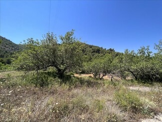 Más detalles de Proc. Simplificado, Borriol - Terreno en venta