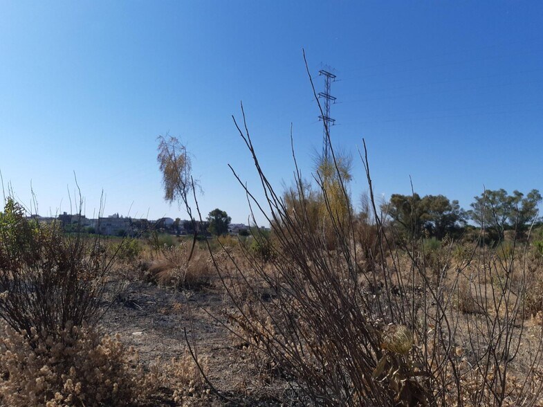 Terreno en Burguillos, Sevilla en venta - Plano del sitio - Imagen 3 de 20
