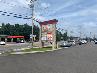 Más detalles para 300-318 Portion Rd, Ronkonkoma, NY - Local en alquiler