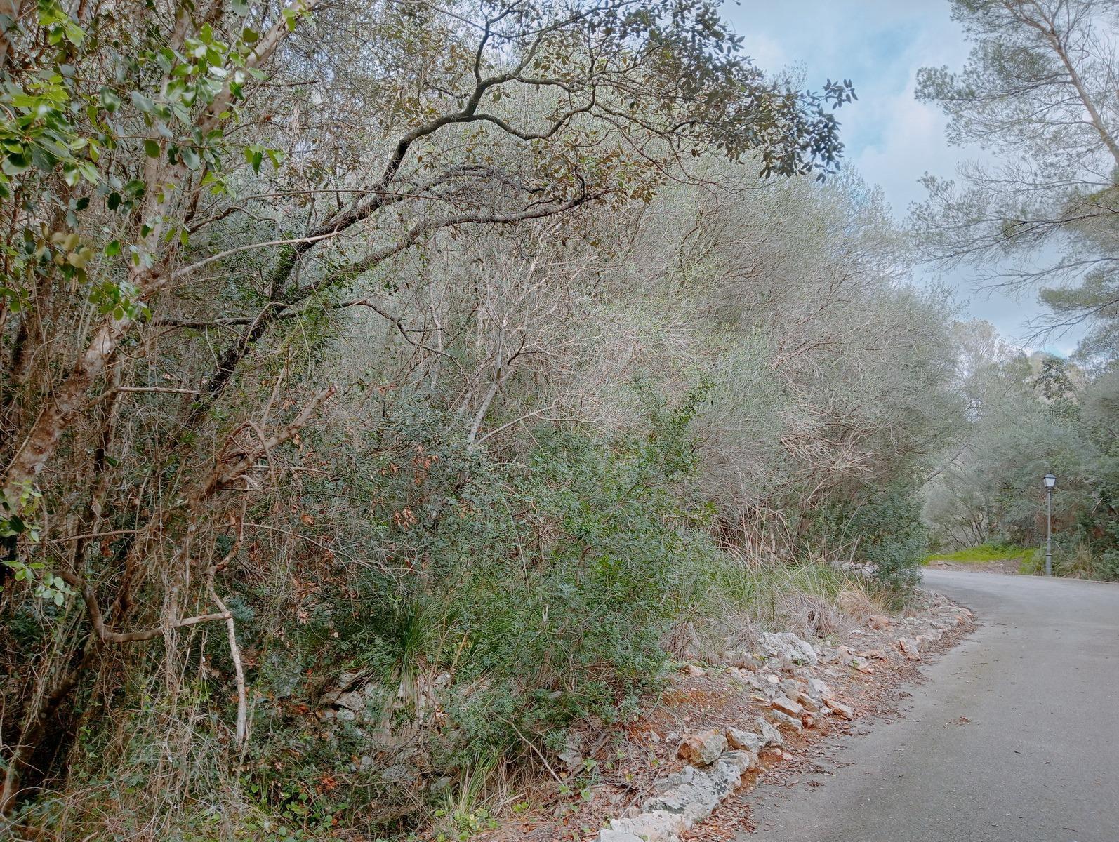 Terreno en Santanyí, Islas Baleares en venta Foto principal- Imagen 1 de 8