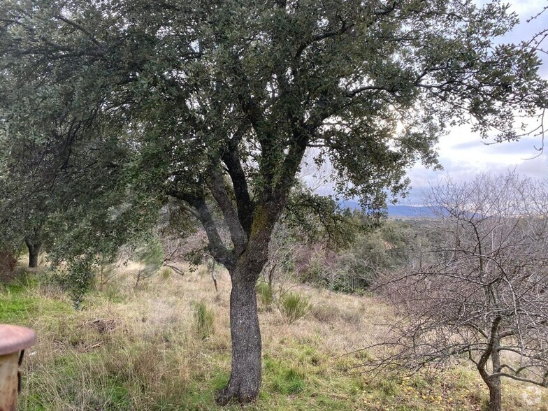 Terrenos en Ituero y Lama, Segovia en venta - Foto del edificio - Imagen 2 de 5