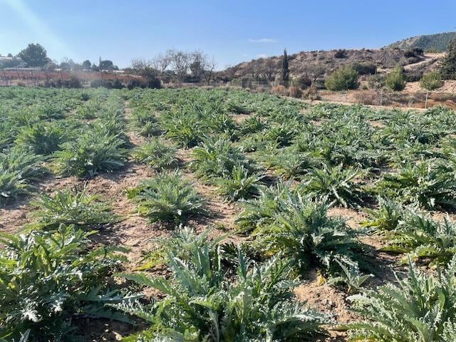 Polígono, Totana, Murcia en venta - Plano del sitio - Imagen 3 de 5