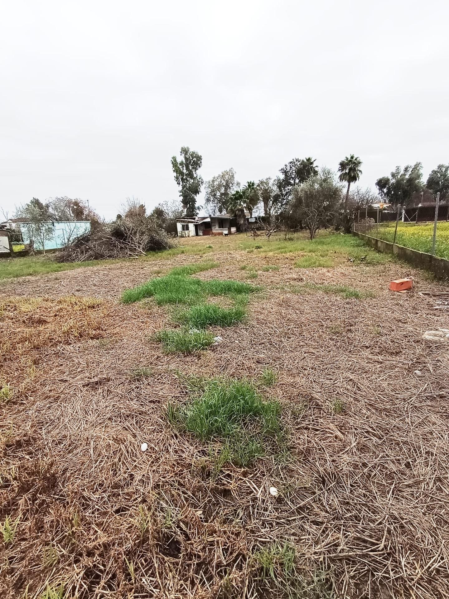 Calle del Águila, 2D, Córdoba, Córdoba en venta Foto principal- Imagen 1 de 22