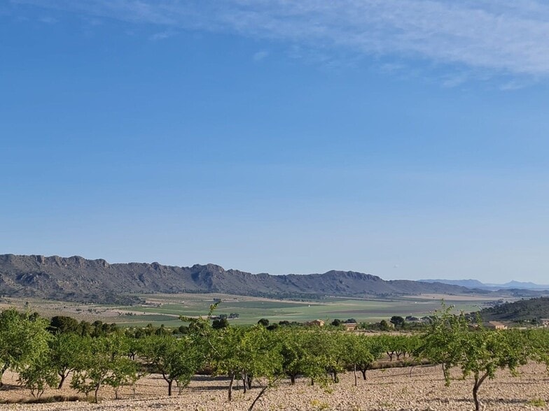 Terreno en Yecla, Murcia en venta - Foto principal - Imagen 1 de 28