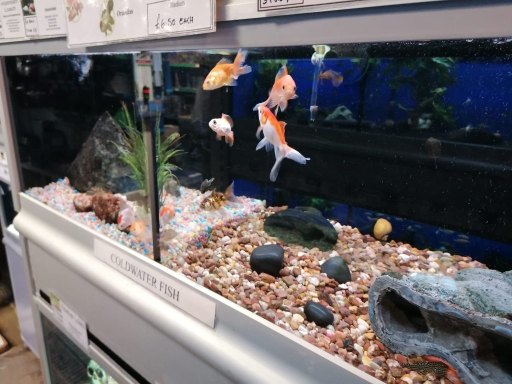 Vicarage Walk, Newport en alquiler Foto del interior- Imagen 1 de 5