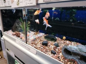 Vicarage Walk, Newport en alquiler Foto del interior- Imagen 1 de 5