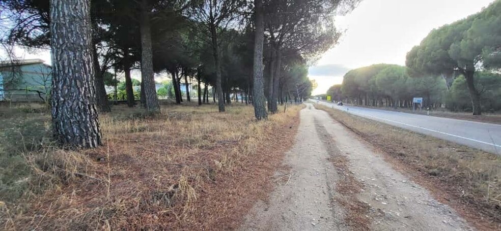Terreno en Tudela de Duero, Valladolid en venta - Foto del edificio - Imagen 3 de 8