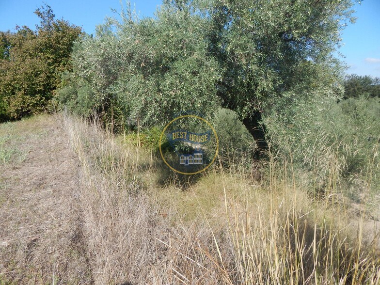 Terreno en Alquerías del Niño Perdido en venta - Foto del edificio - Imagen 3 de 22