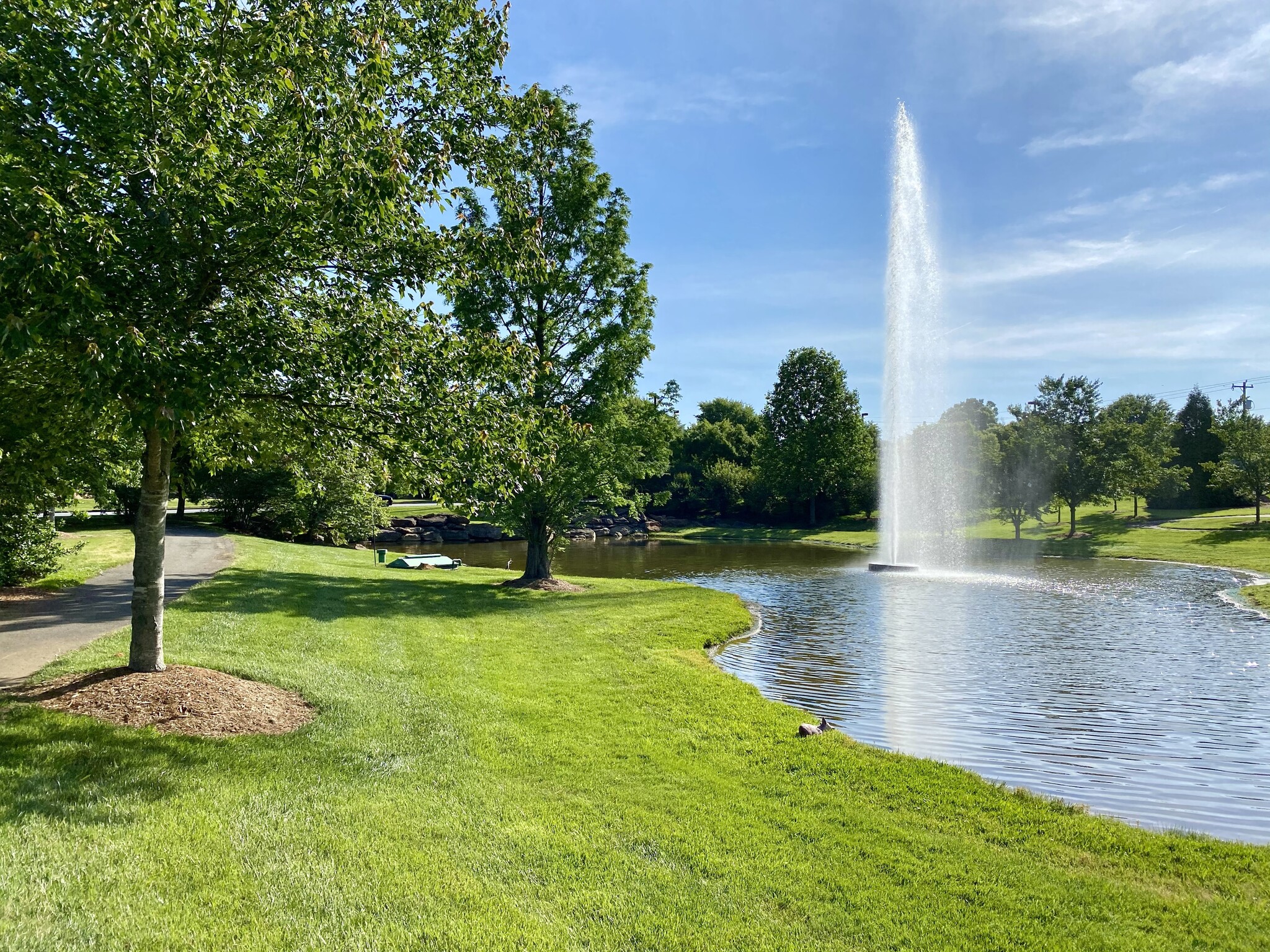 1650 Skylyn Dr, Spartanburg, SC en alquiler Foto del edificio- Imagen 1 de 10