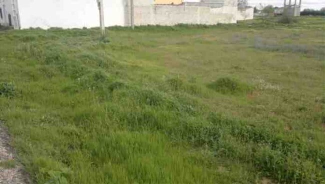 Más detalles de Terreno en venta