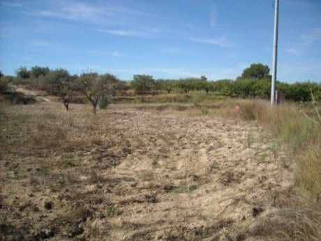 Terreno en Calasparra, Murcia en venta - Plano del sitio - Imagen 2 de 11