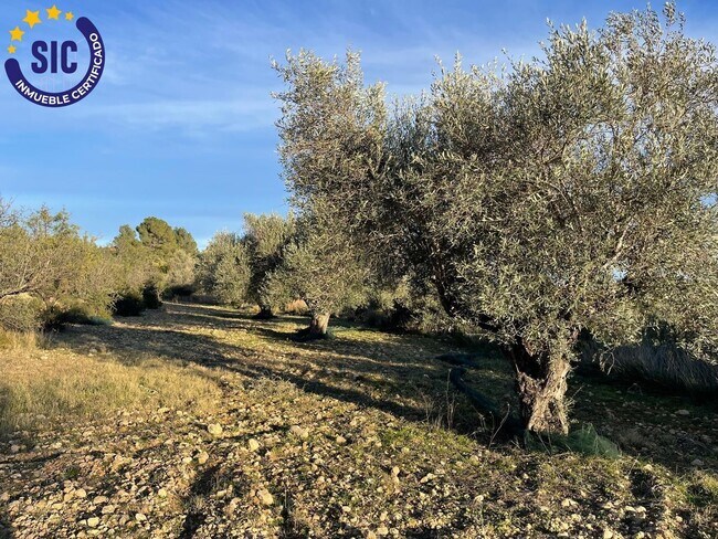 Más detalles de Terreno en venta