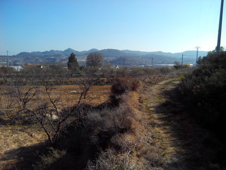 Terreno en Cehegín, Murcia en venta - Foto del edificio - Imagen 1 de 8
