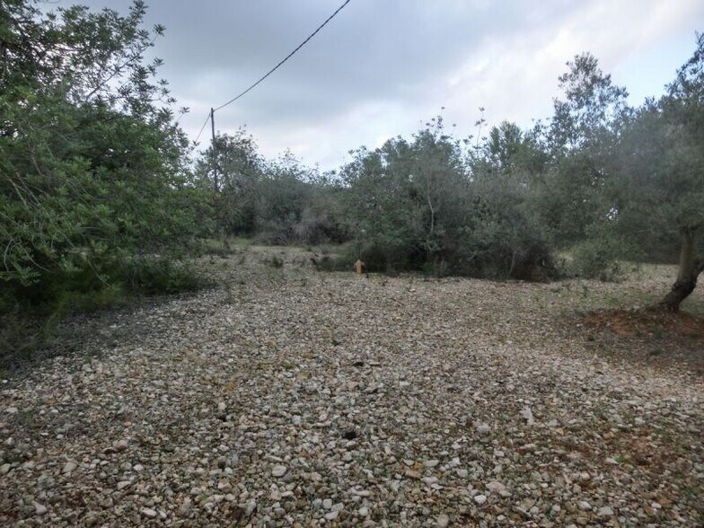 Terreno en Sant Carles de la Ràpita, Tarragona en venta - Otros - Imagen 2 de 2