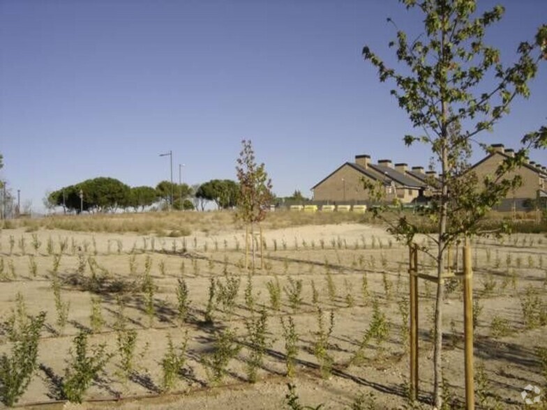 Terrenos en Boadilla Del Monte, MAD en alquiler - Foto del edificio - Imagen 3 de 4