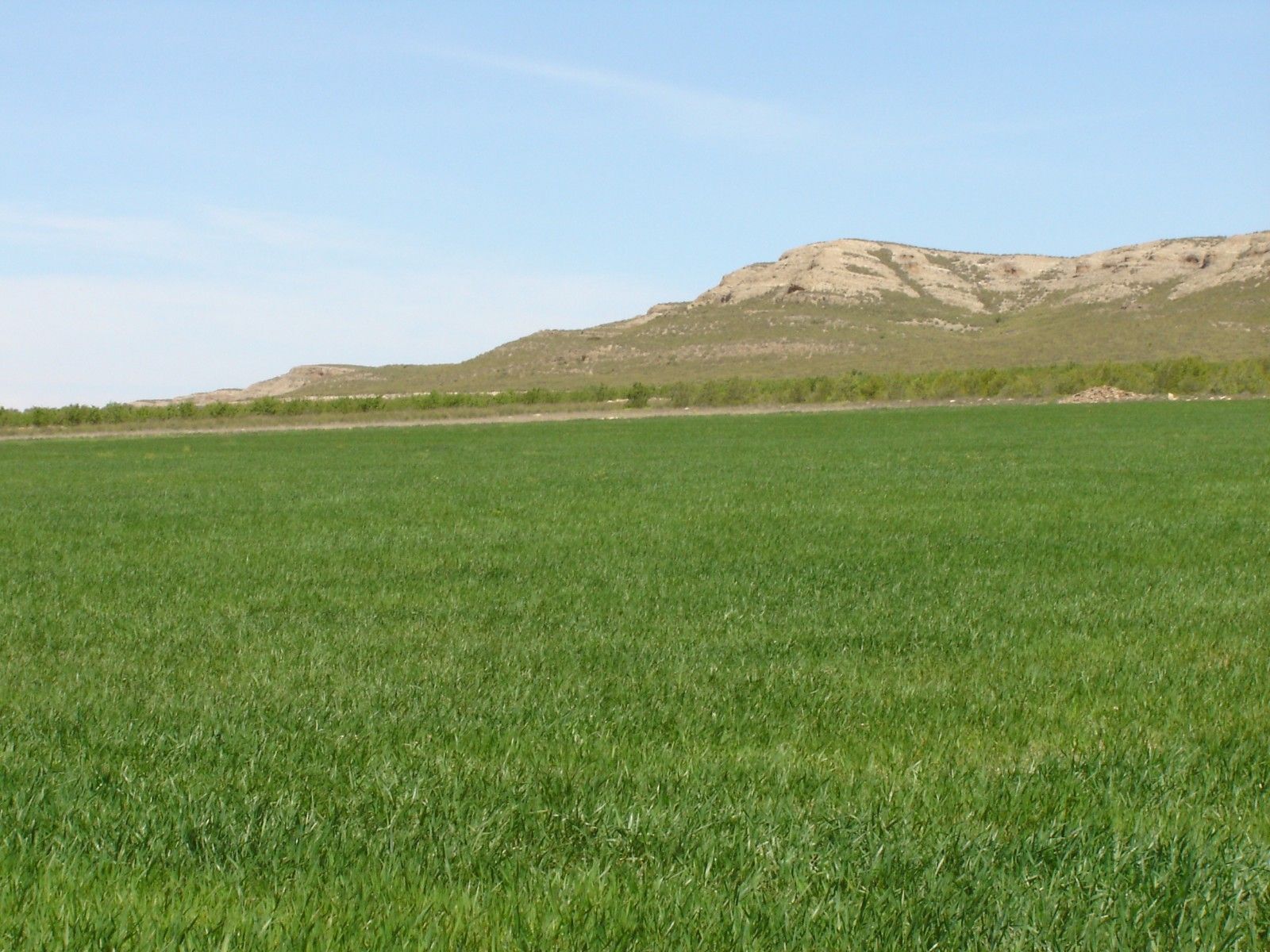 Terreno en MURCIA en venta Vista aérea- Imagen 1 de 4