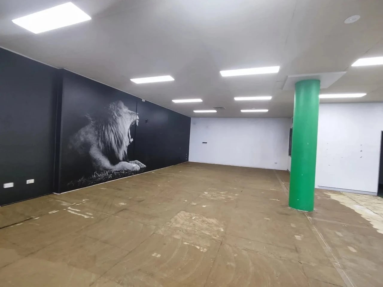 100-104 Parramatta Rd, Stanmore en alquiler Foto del interior- Imagen 1 de 12