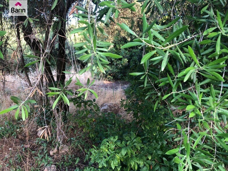 Terreno en Córdoba en venta - Foto del edificio - Imagen 3 de 5