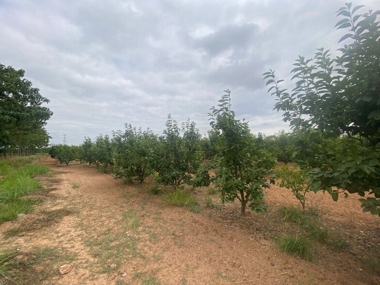 Terreno en València en venta - Foto del edificio - Imagen 2 de 10
