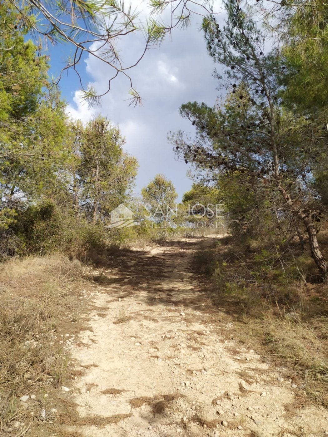 Terreno en La Romana en venta Foto del edificio- Imagen 1 de 21