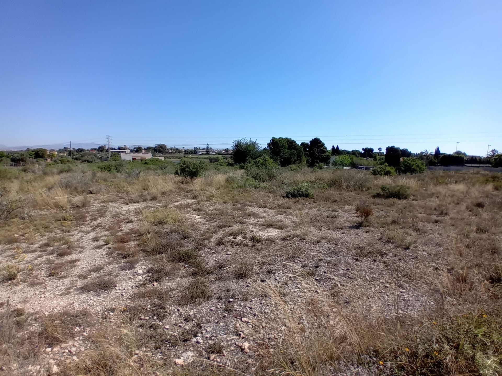 Terreno en ELX, Alicante en venta Plano del sitio- Imagen 1 de 11