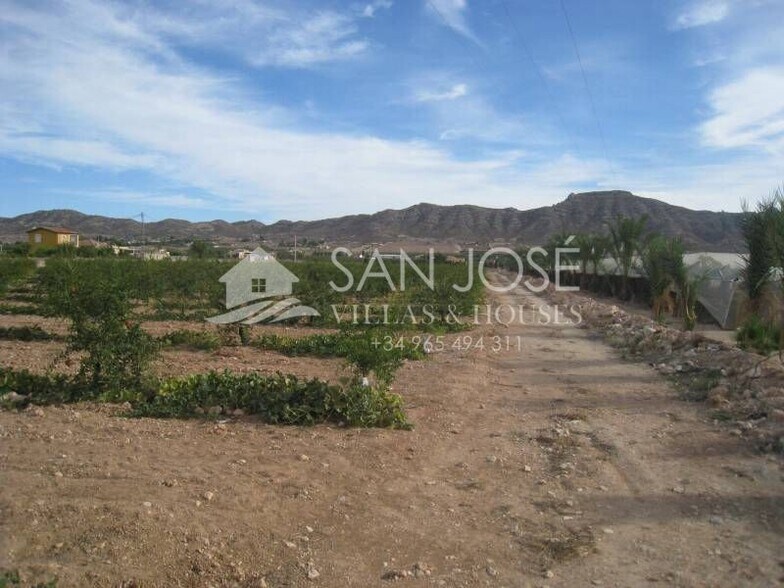 Terreno en Aspe, Alicante en venta - Vista aérea - Imagen 2 de 3