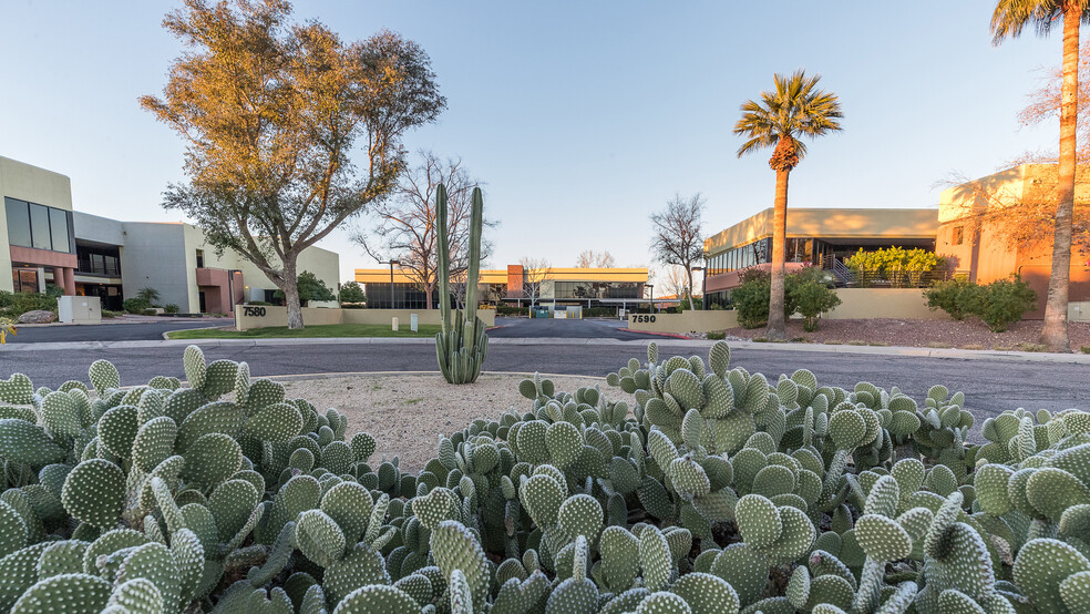 7585-7595 E Redfield Rd, Scottsdale, AZ en alquiler - Foto del edificio - Imagen 2 de 12