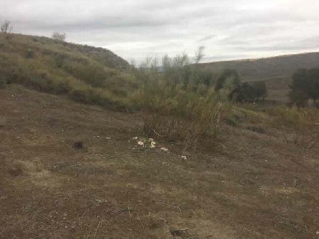 Más detalles de Terreno en venta