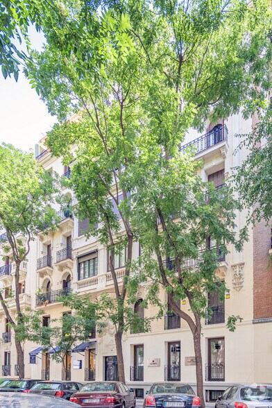 Calle Castelló, 48, Madrid, Madrid en venta - Foto principal - Imagen 1 de 1