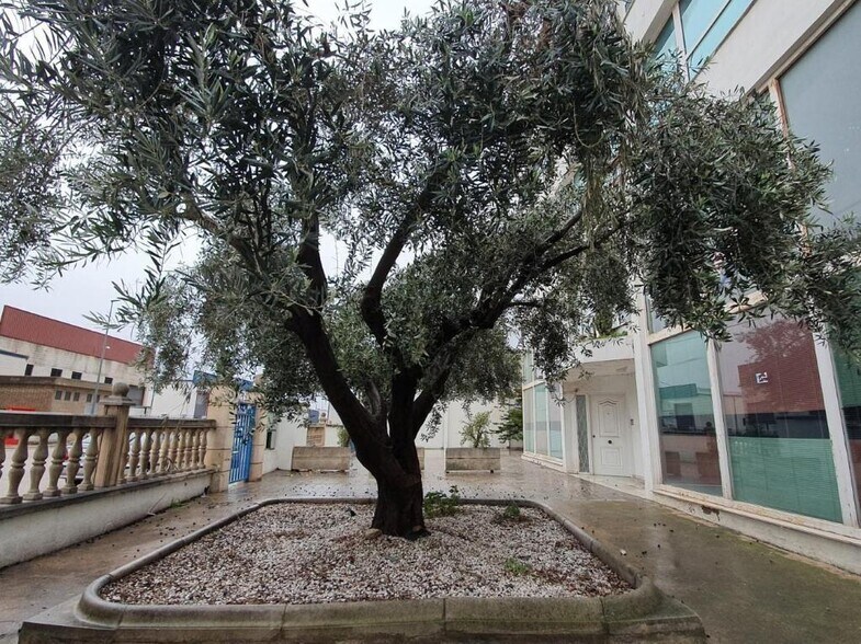 Carrer dels Moliners, Alzira, Valencia en venta - Foto del edificio - Imagen 3 de 15