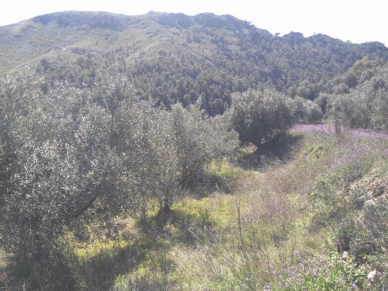 Terreno en Calasparra en venta - Foto del edificio - Imagen 1 de 10
