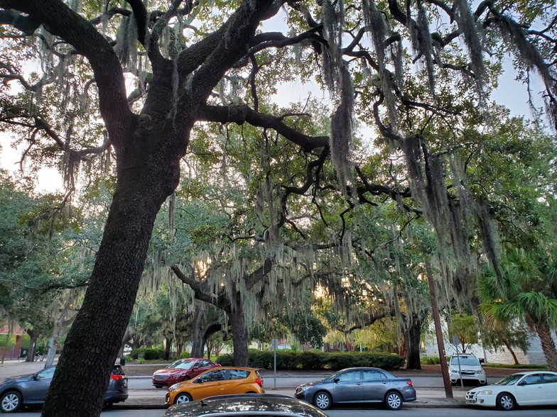 1915 Bull St, Savannah, GA en alquiler - Foto del edificio - Imagen 3 de 6