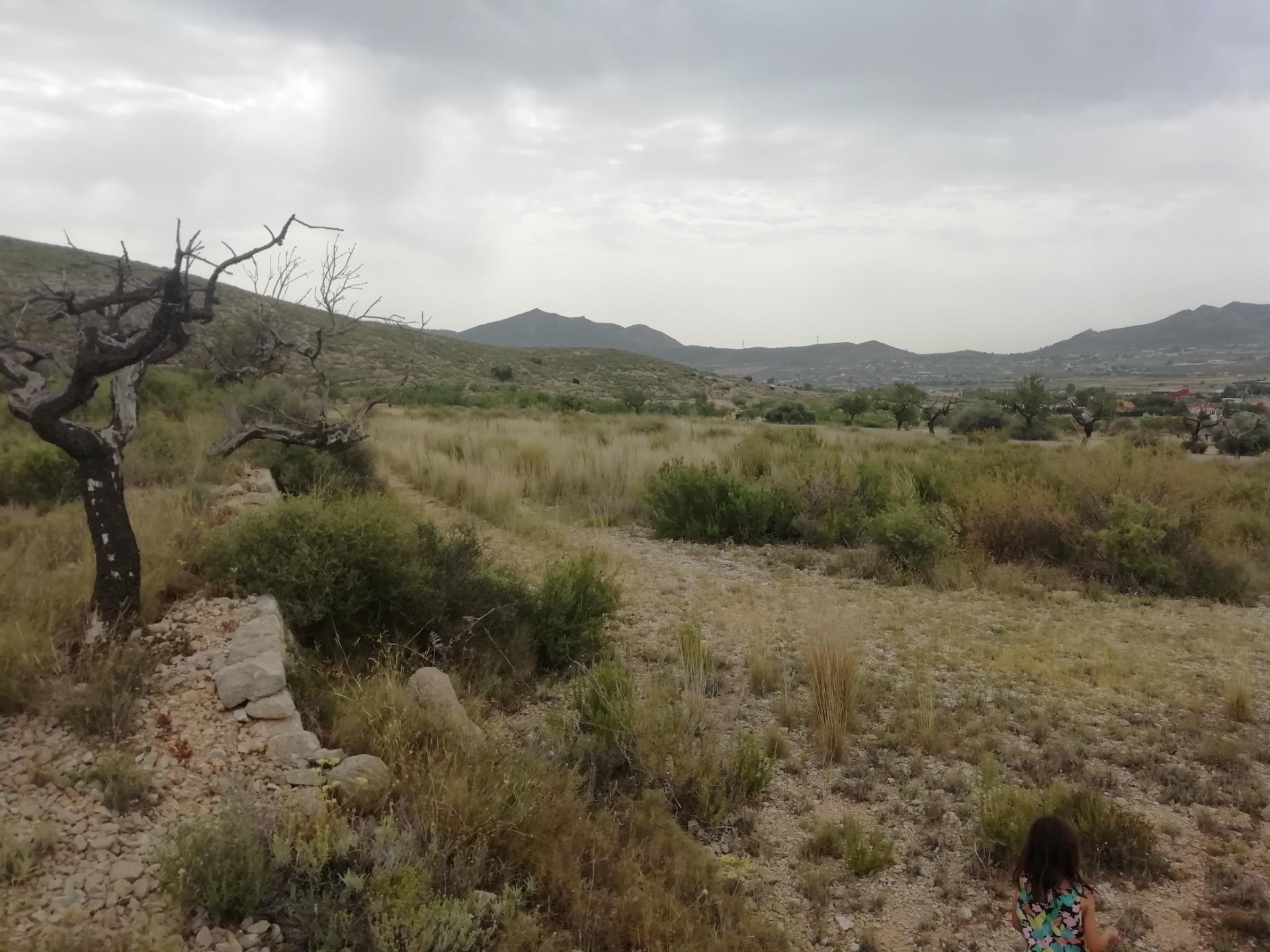 Terreno en Hondón de los Frailes, Alicante en venta Vista aérea- Imagen 1 de 6