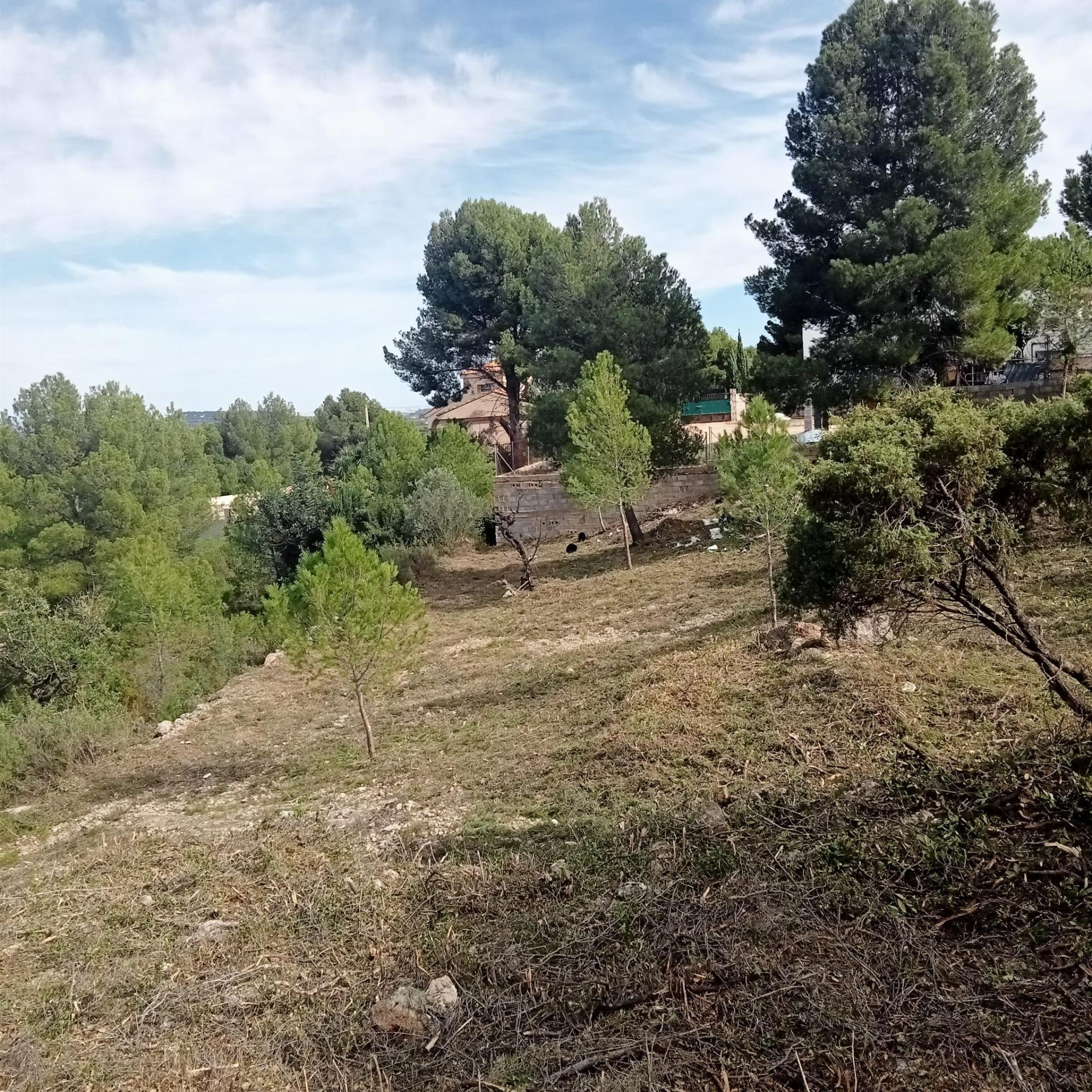 Terreno en Godelleta, Valencia en venta Foto principal- Imagen 1 de 23