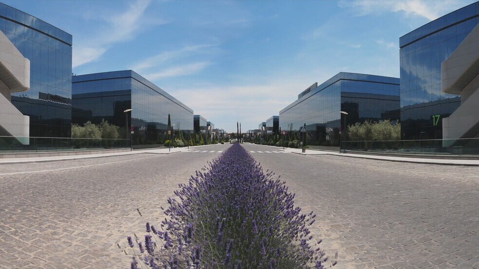 Paseo del Club Deportivo, 1, Pozuelo de Alarcón, Madrid en alquiler - Vídeo de anuncio comercial - Imagen 2 de 3