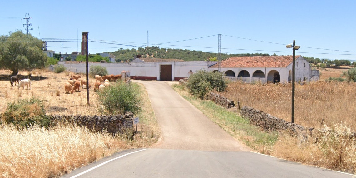 Polígono, 49, Olivenza, Badajoz en venta Foto principal- Imagen 1 de 21