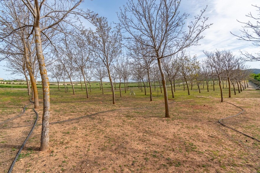 Terreno en Padul, Granada en venta - Foto del edificio - Imagen 3 de 50