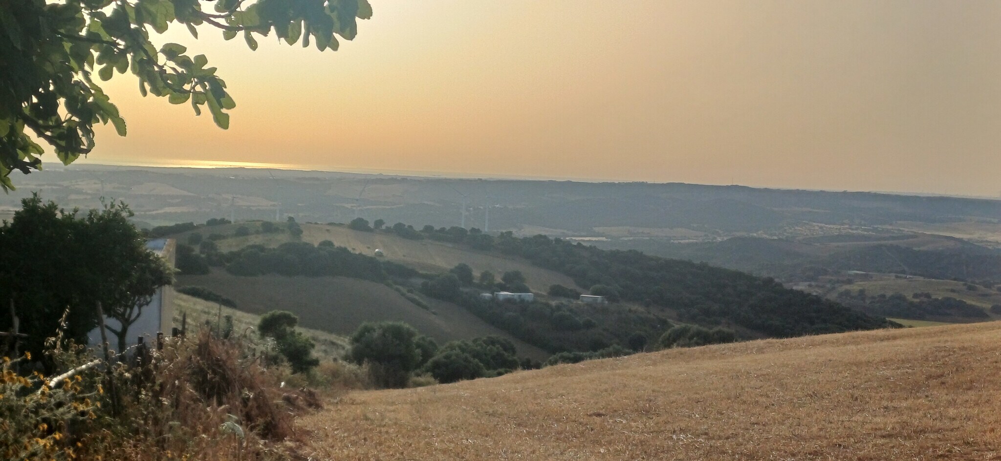 Terreno en Vejer de la Frontera, Cádiz en venta Foto principal- Imagen 1 de 10