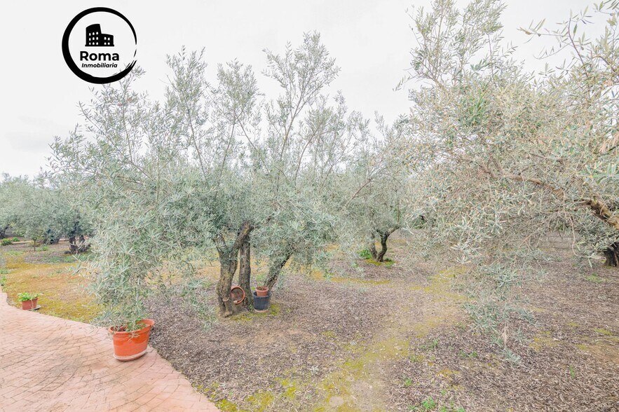 Terreno en Ogíjares, Granada en venta - Foto del edificio - Imagen 3 de 25