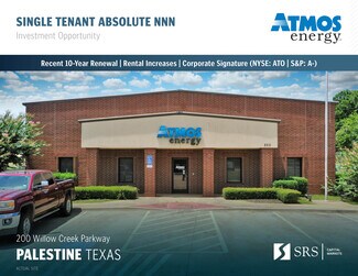 Más detalles de 200 Willow Creek Pky, Palestine, TX - Nave en venta